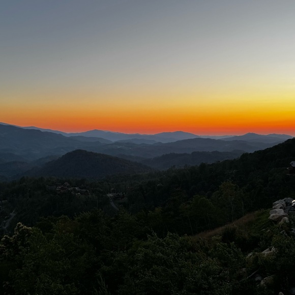 Meet your Posher, Kerri - Picture 1 of 1